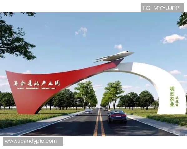 张骋宇：在科技创新浪潮中崭露头角的青年才俊与未来发展潜力分析